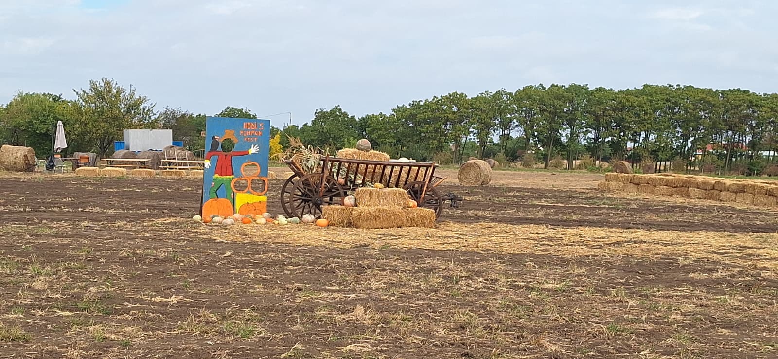 WhatsApp Image 2025-10-12 at 13.39.22 (2)