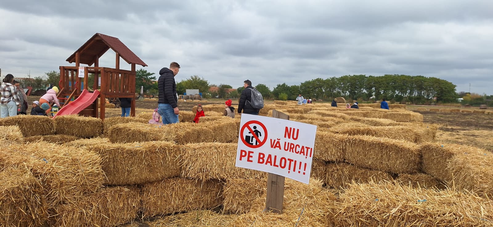 WhatsApp Image 2025-10-12 at 13.39.22 (7)