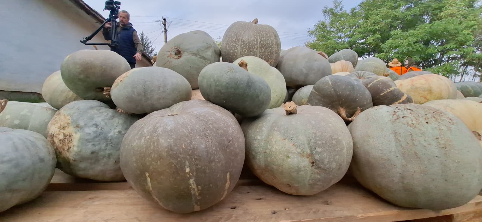 WhatsApp Image 2025-10-12 at 13.39.22 (8)