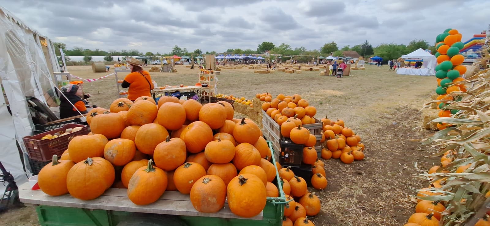 WhatsApp Image 2025-10-12 at 13.39.24 (2)