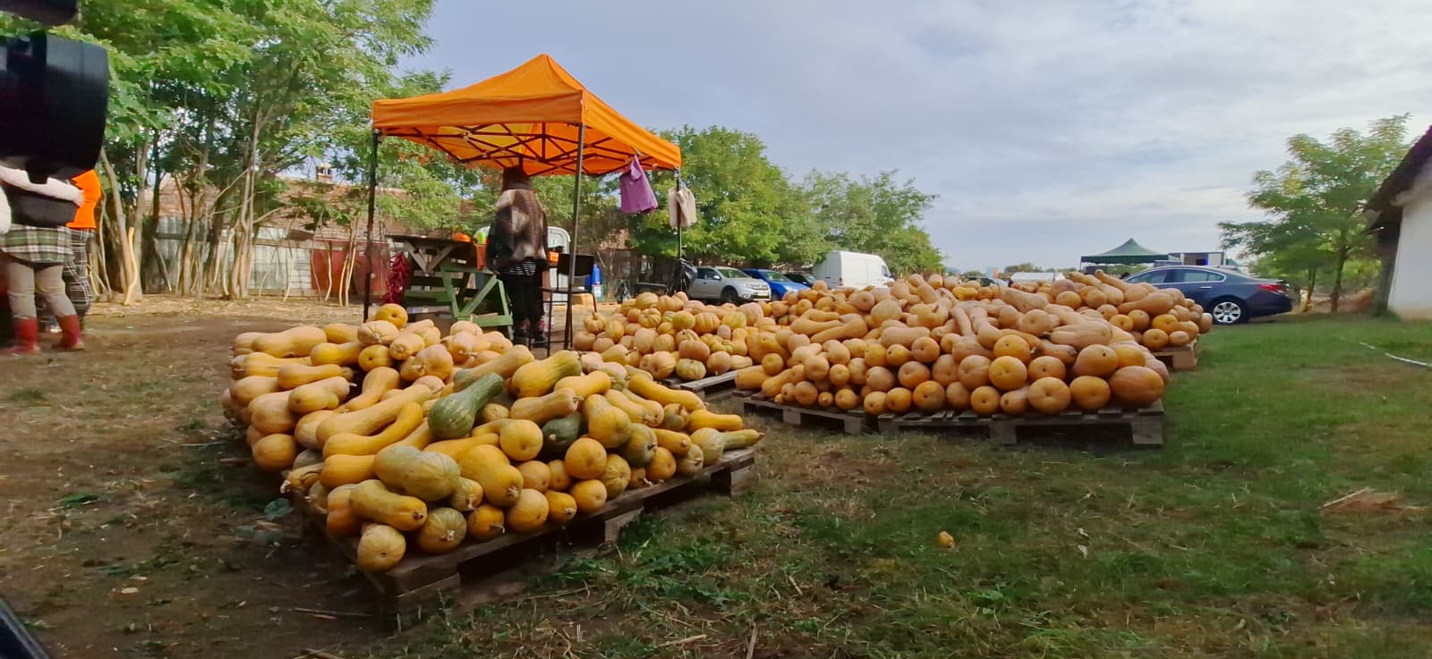 WhatsApp Image 2025-10-12 at 13.39.24 (5)