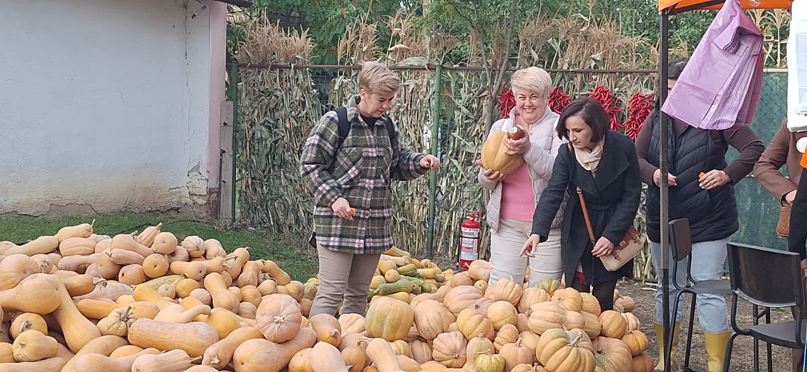 WhatsApp Image 2025-10-12 at 13.39.24 (8)