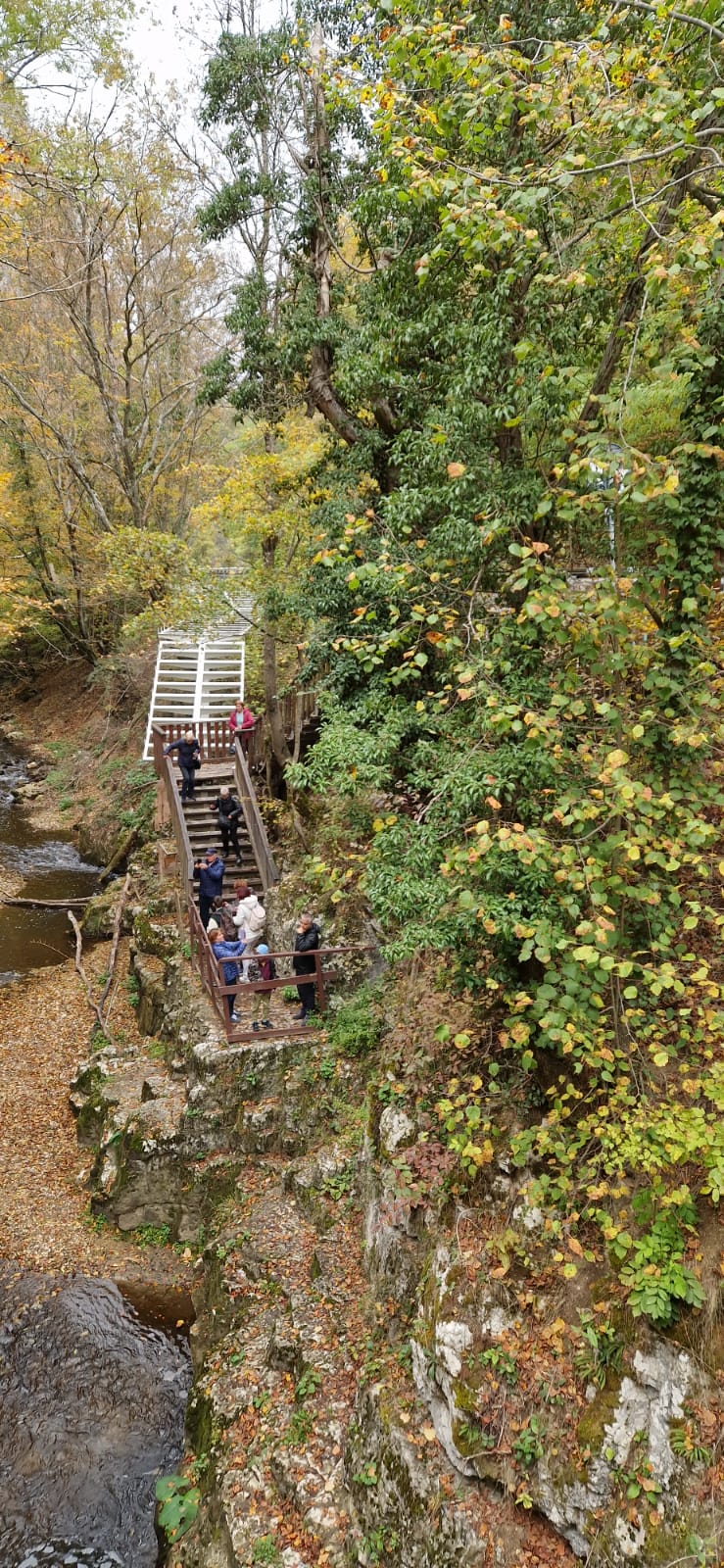 WhatsApp Image 2025-10-20 at 10.04.46 (5)