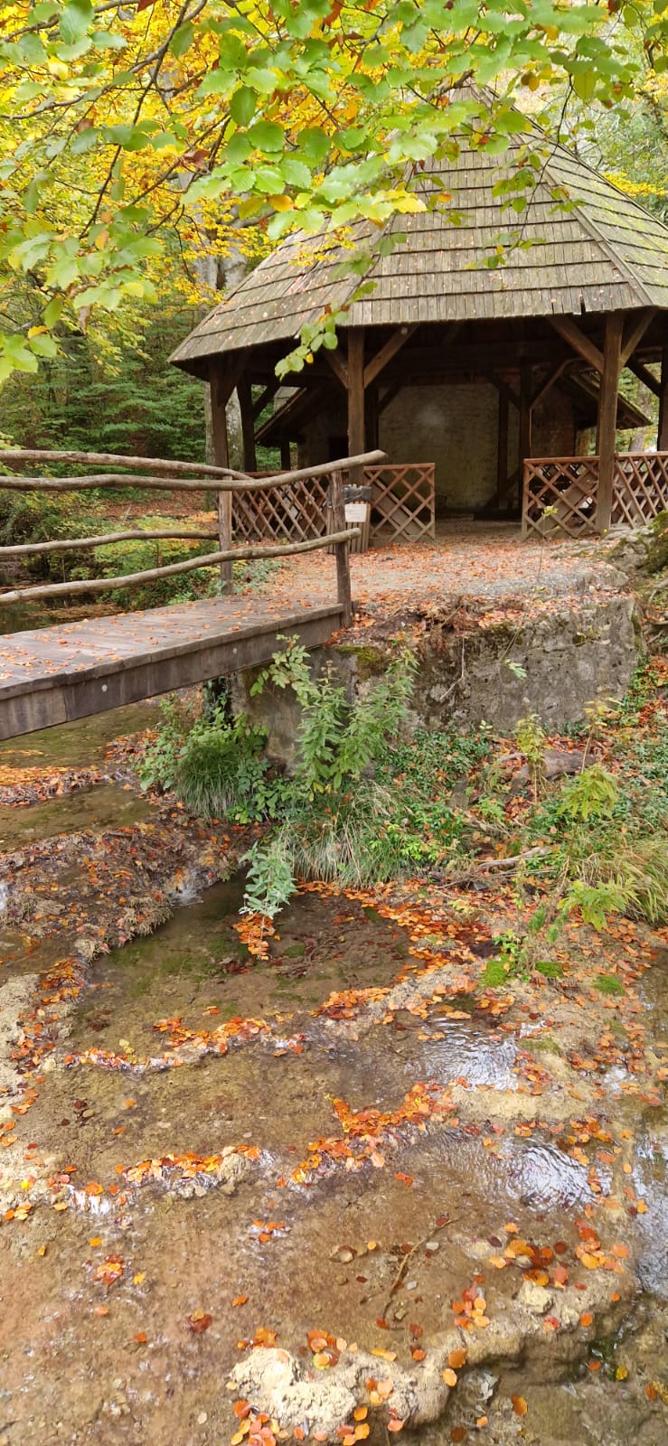 WhatsApp Image 2025-10-20 at 10.04.47 (1)