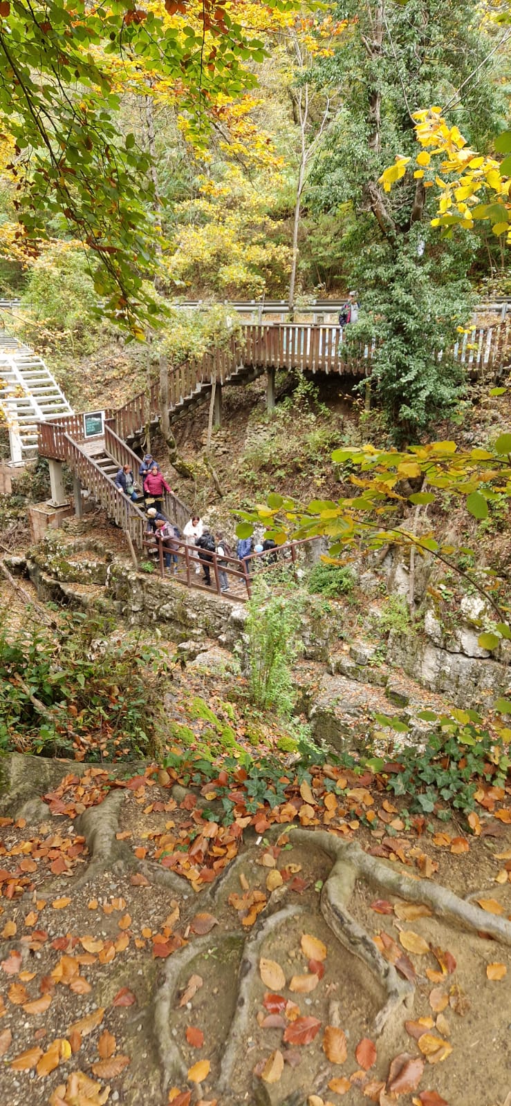 WhatsApp Image 2025-10-20 at 10.04.47 (2)