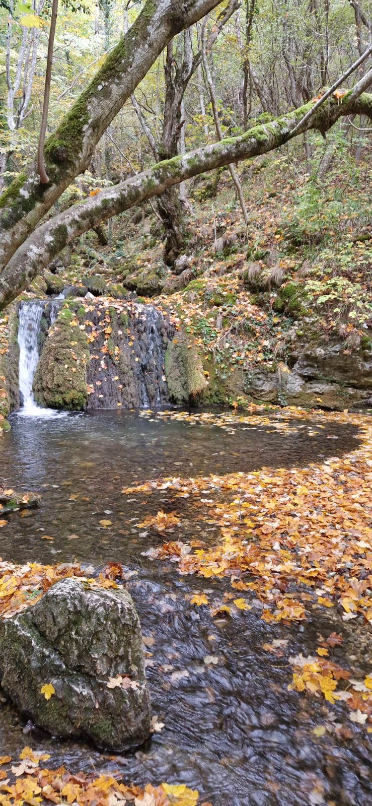 WhatsApp Image 2025-10-20 at 10.04.47 (3)