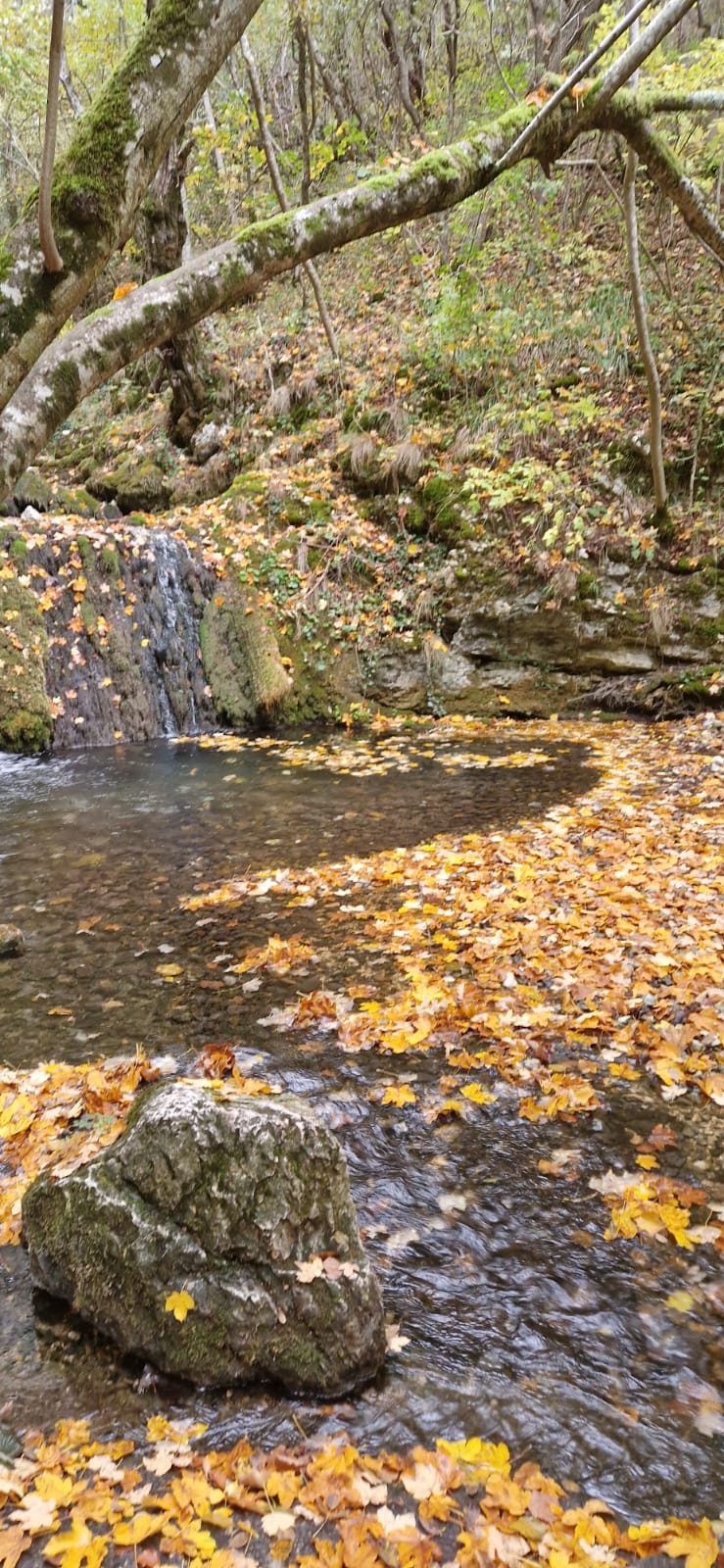 WhatsApp Image 2025-10-20 at 10.04.47 (4)