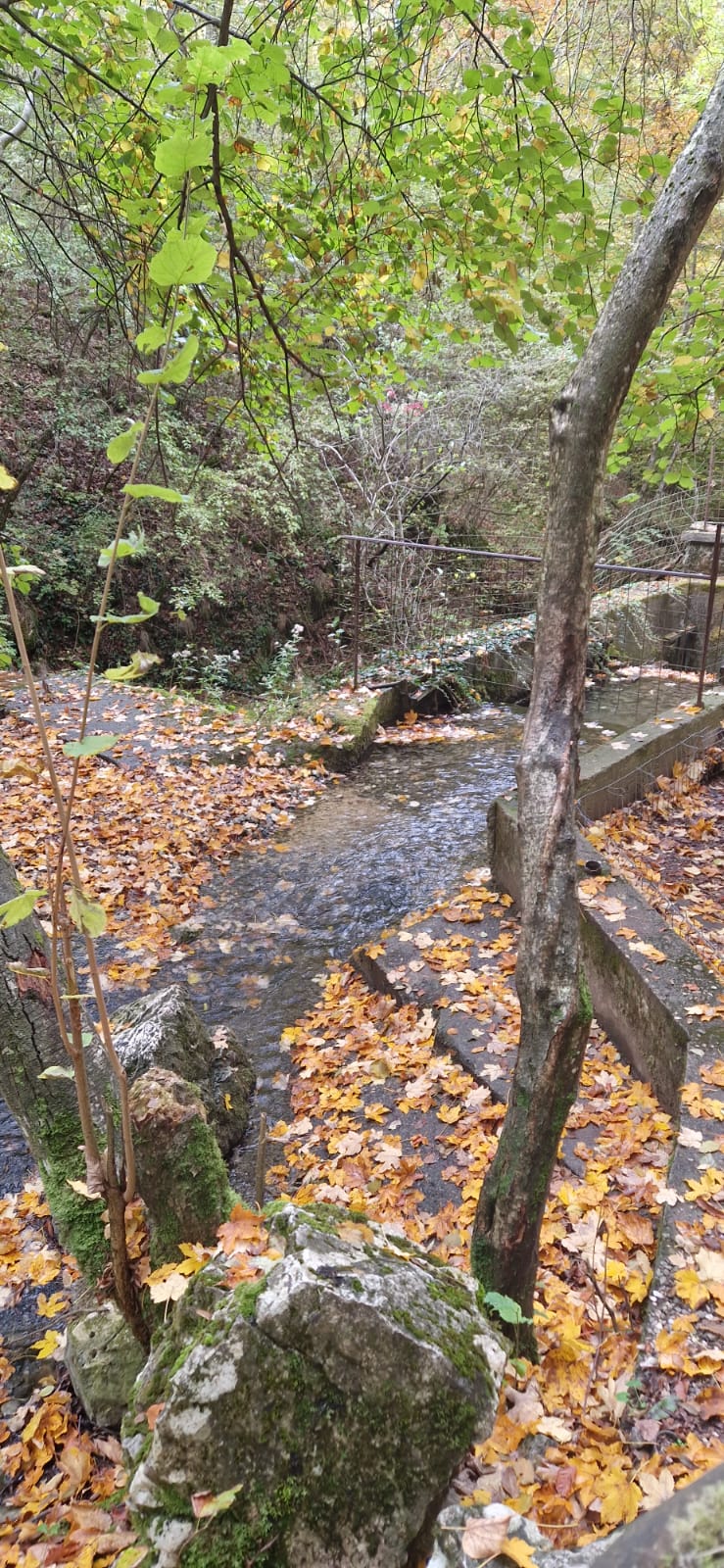 WhatsApp Image 2025-10-20 at 10.04.47 (5)