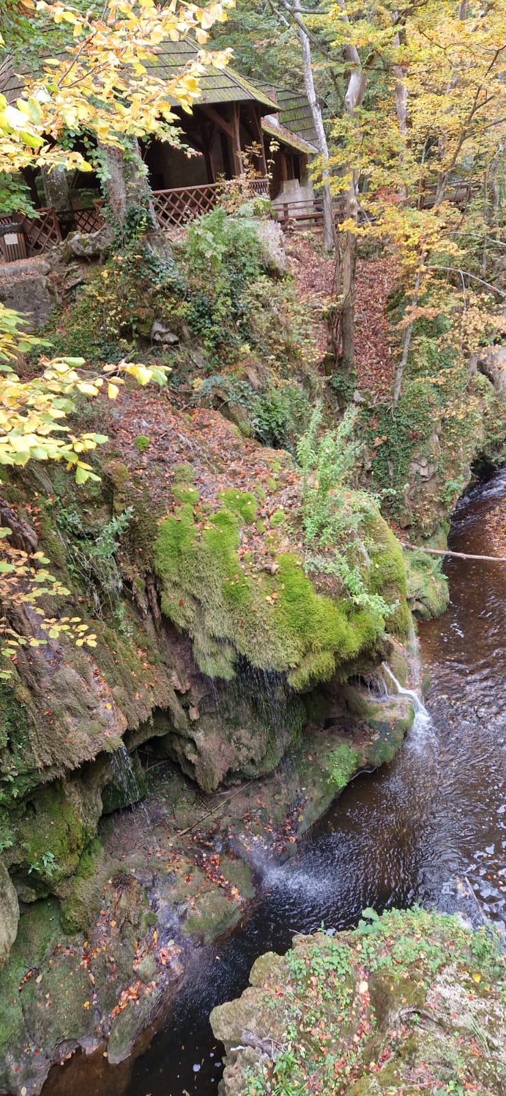 WhatsApp Image 2025-10-20 at 10.04.47