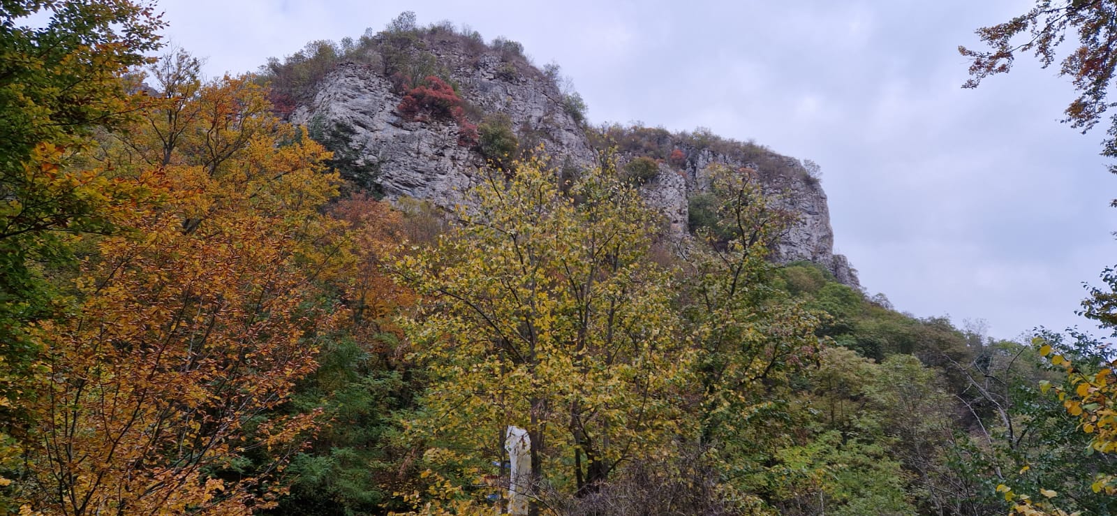 WhatsApp Image 2025-10-20 at 10.04.48