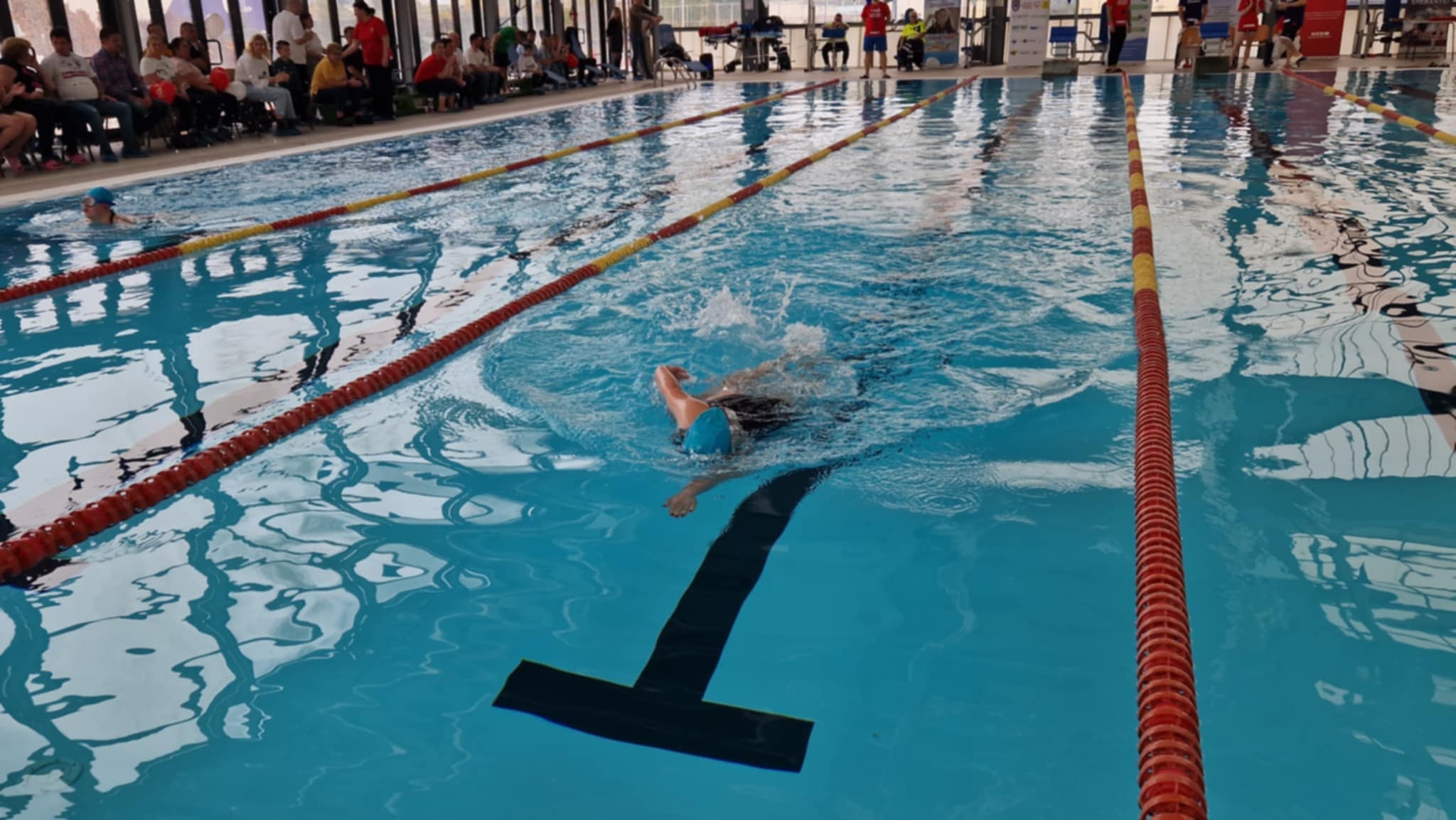 0214ffce-0d68-4831-9093-6585da7d43a9