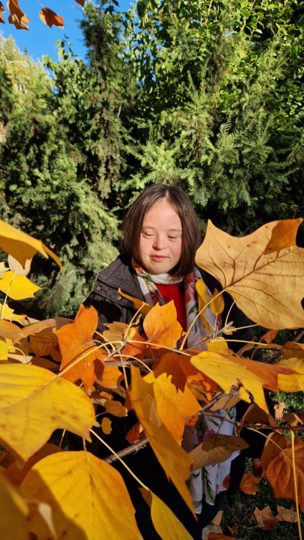 c8bebe25-c99e-447b-98f0-a62a03719df0