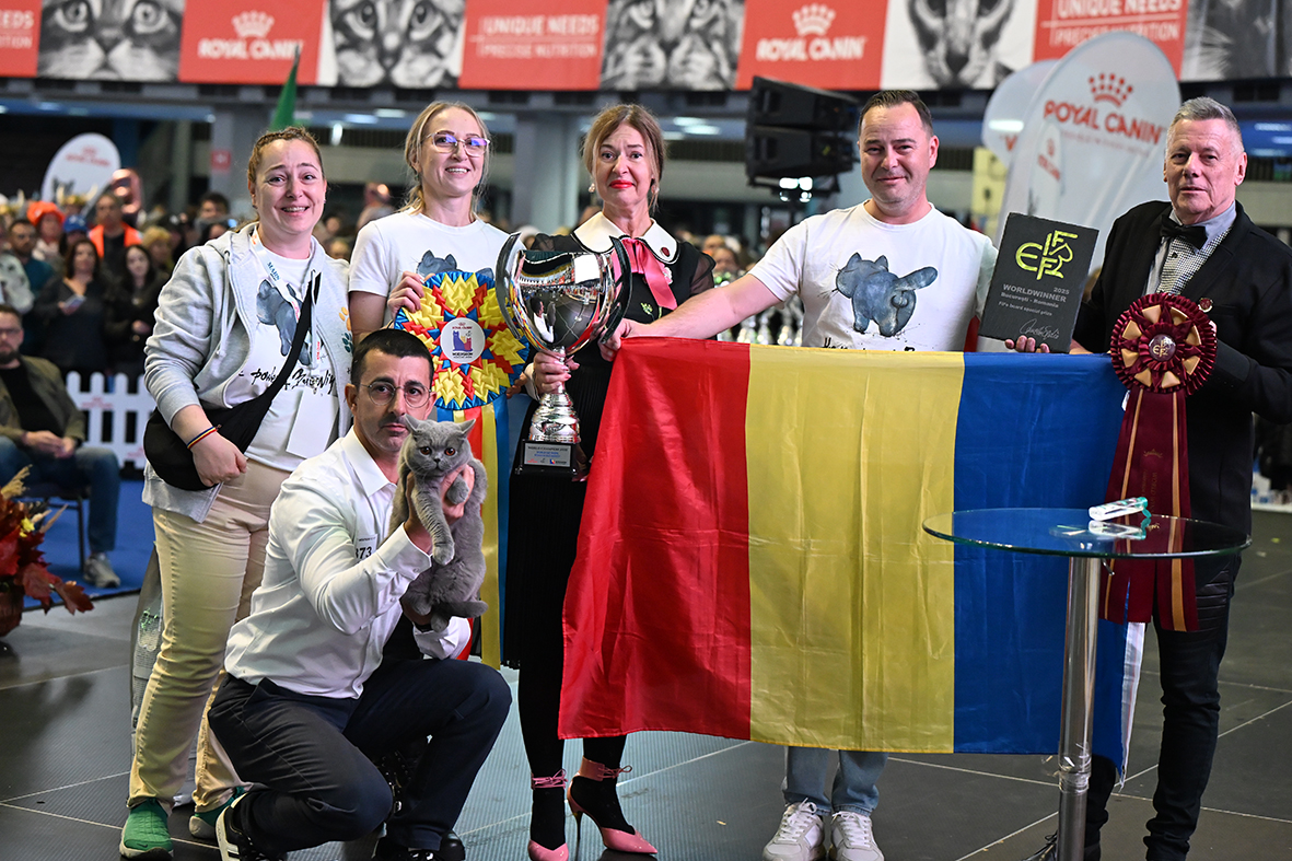 Bucovina Kira Kiralina1