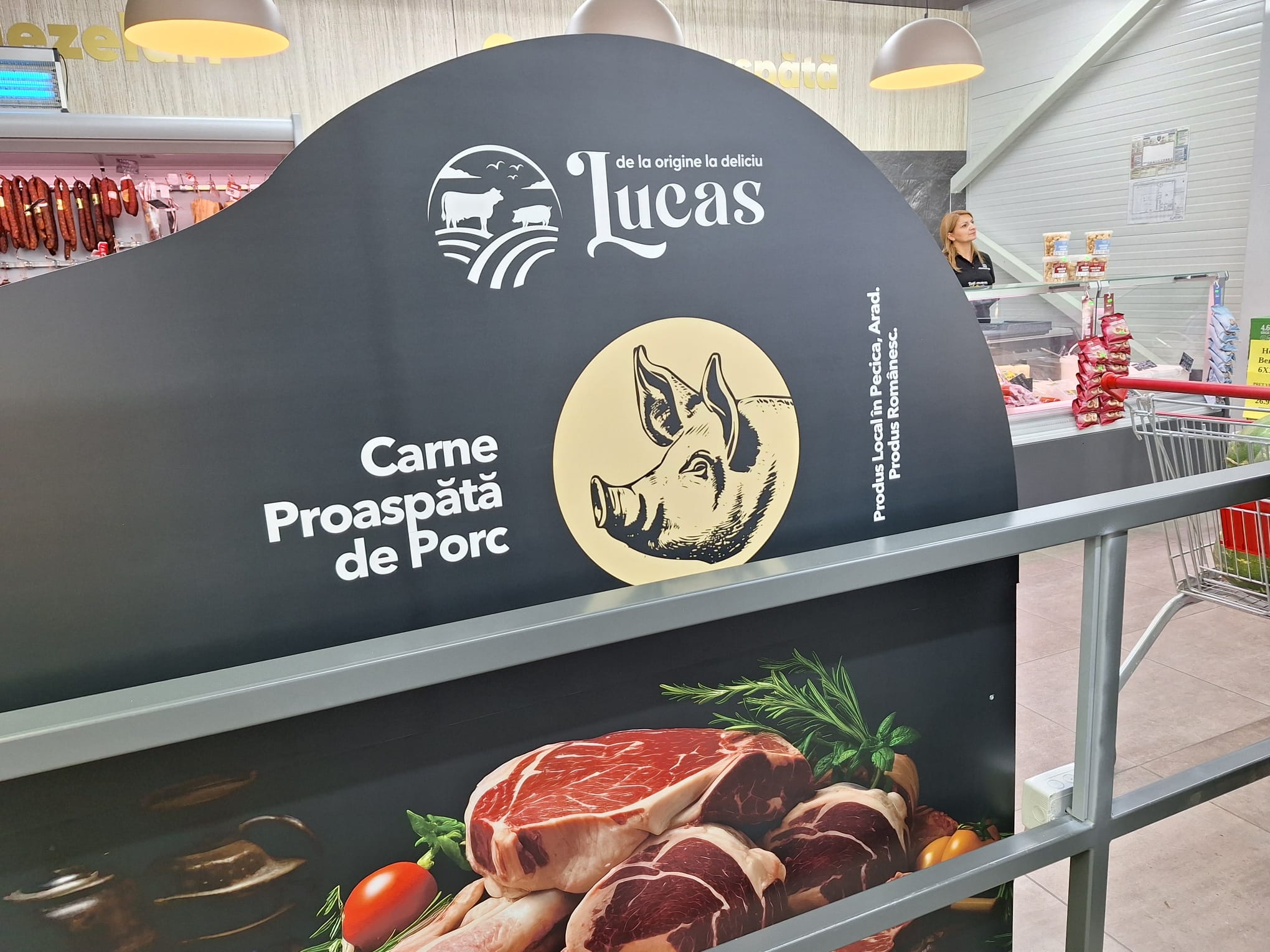 Lucas ACA galerie (3)