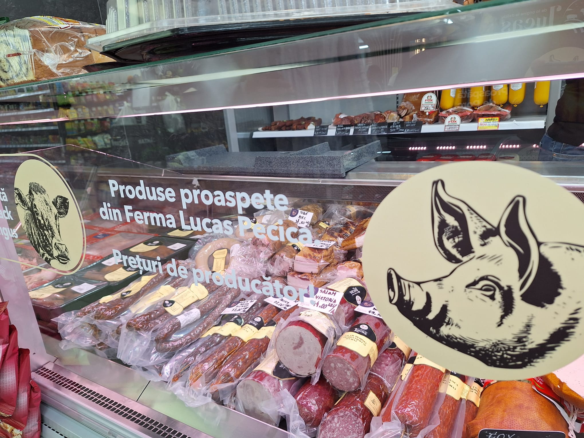 Lucas ACA galerie (4)