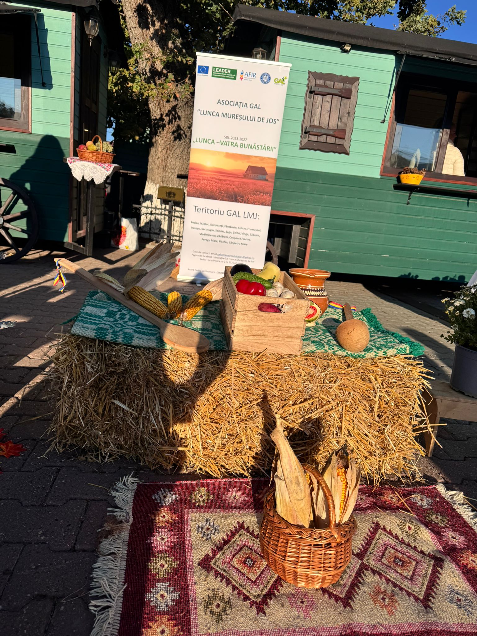 WhatsApp Image 2025-10-08 at 14.15.48 (7)