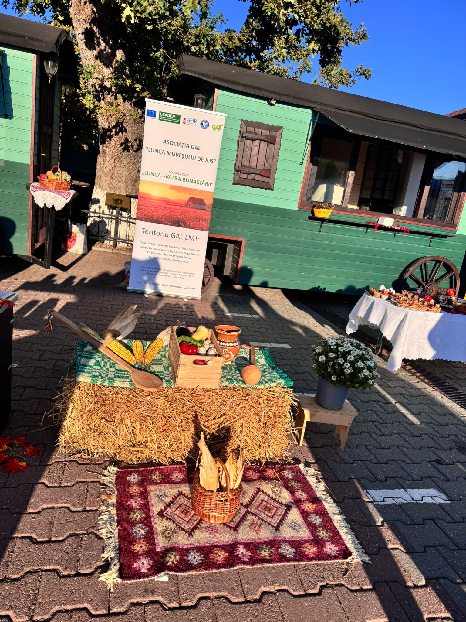 WhatsApp Image 2025-10-08 at 14.15.48 (2)