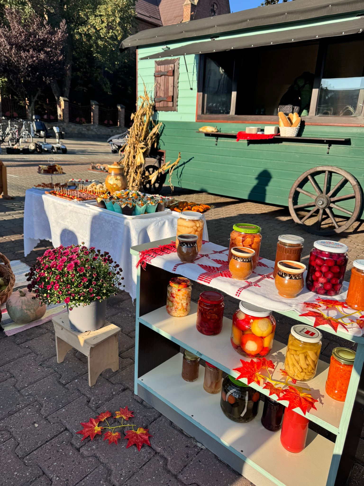 WhatsApp Image 2025-10-08 at 14.15.47 (3)