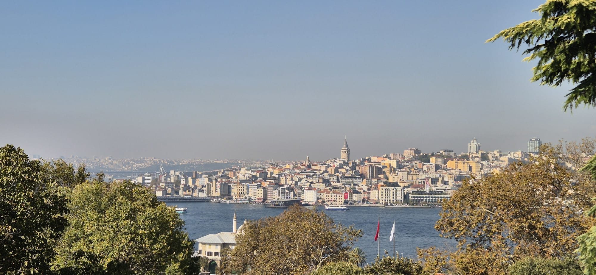 6583fde4-cd33-4a6b-b011-2f1244b77984