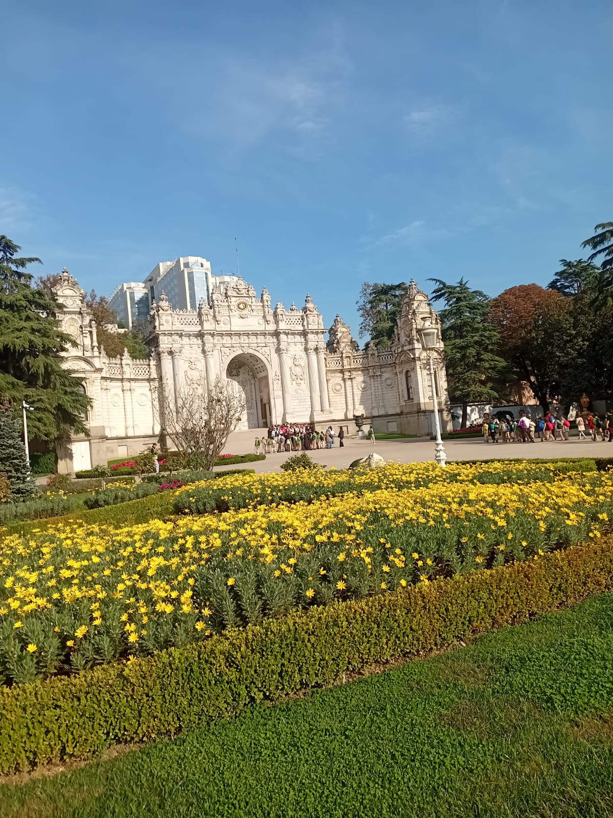 WhatsApp Image 2025-11-05 at 11.16.47 (3)