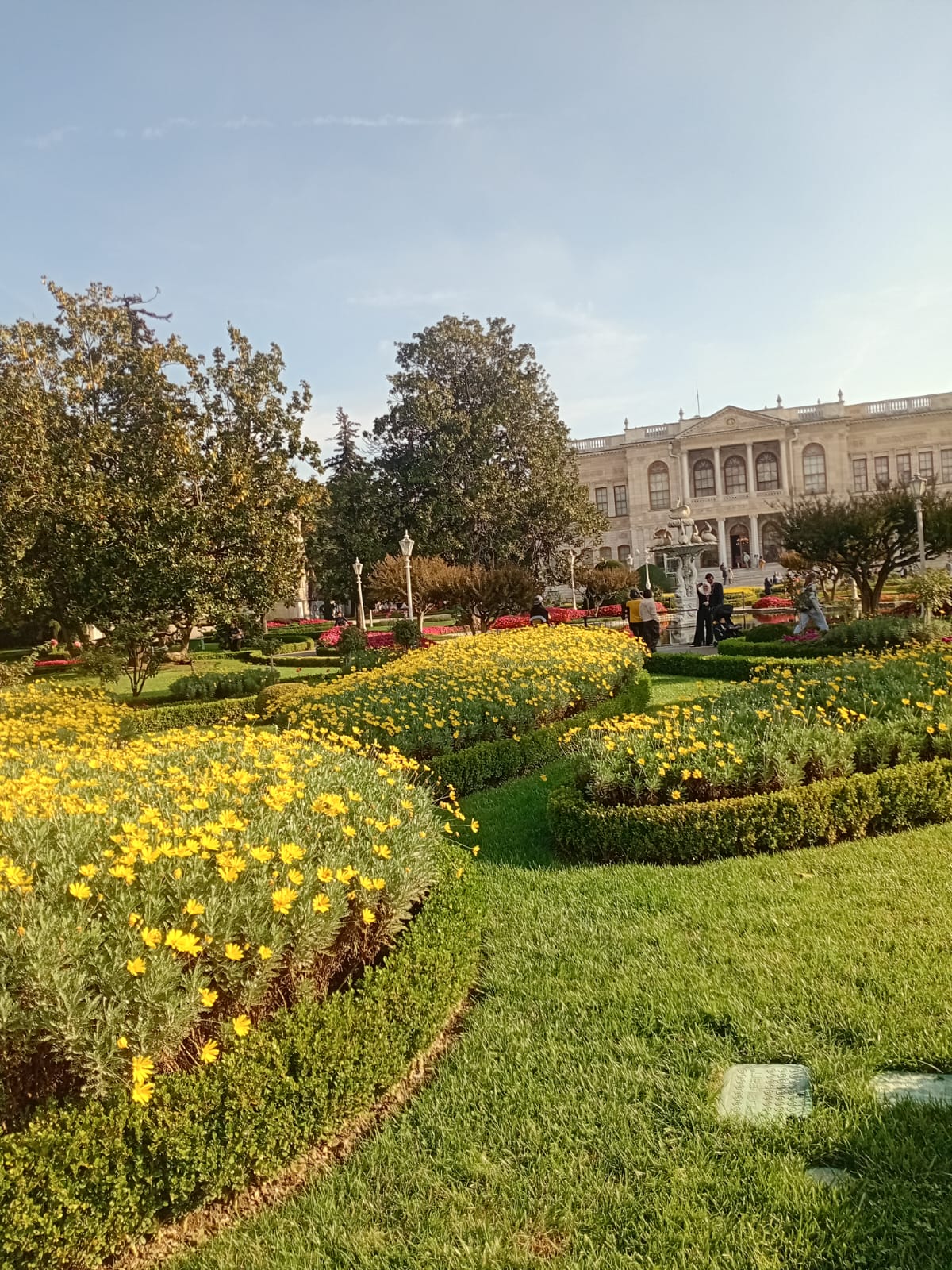 WhatsApp Image 2025-11-05 at 11.16.48 (3)