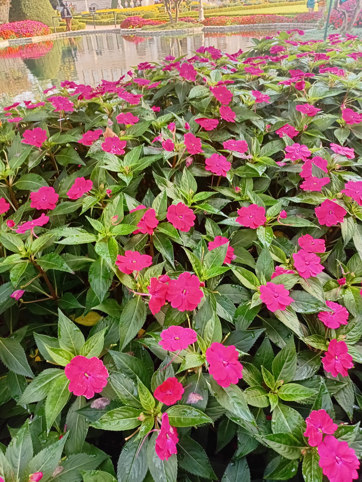 WhatsApp Image 2025-11-05 at 11.16.48