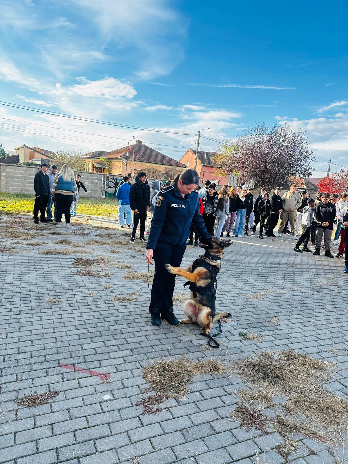 WhatsApp Image 2025-11-08 at 16.56.25