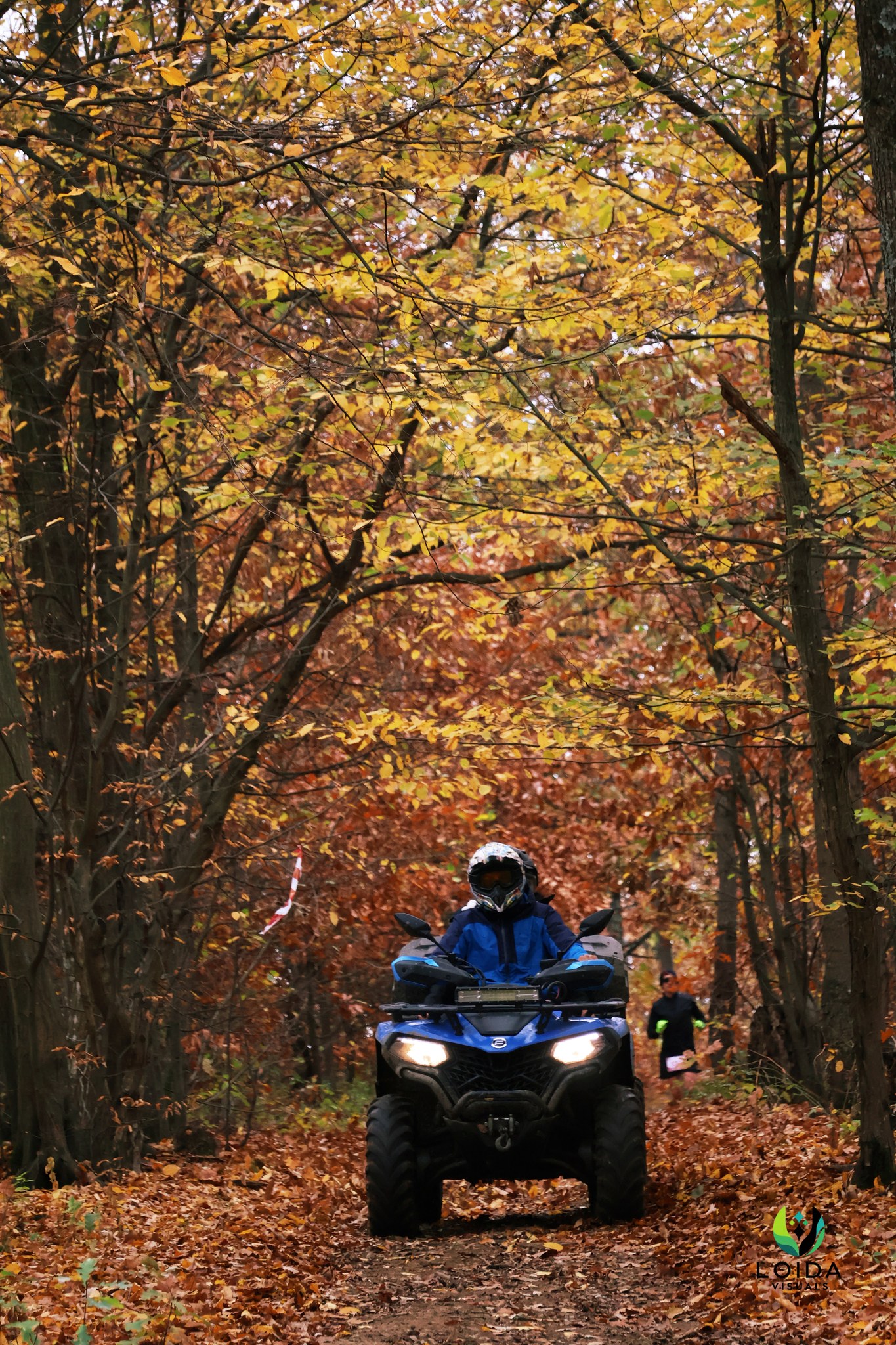 10 supraveghează K 10