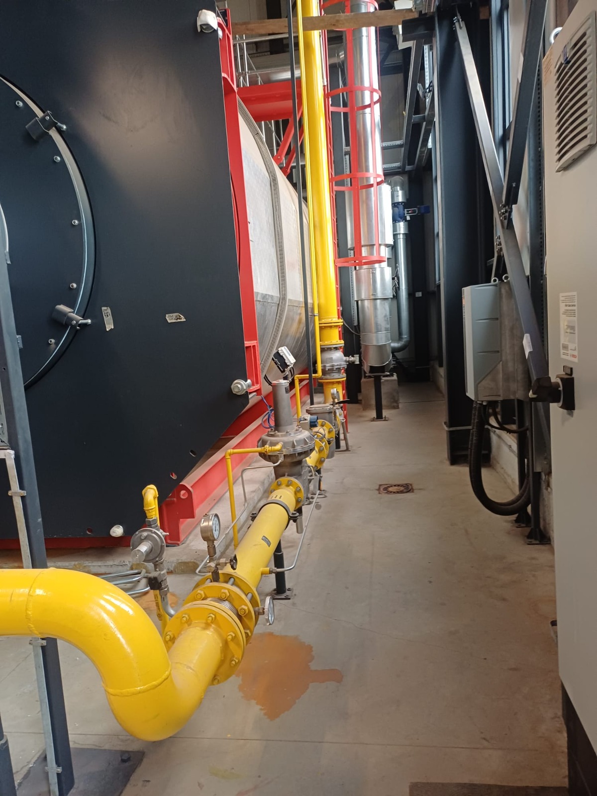 WhatsApp Image 2025-11-17 at 12.17.37 PM (1)