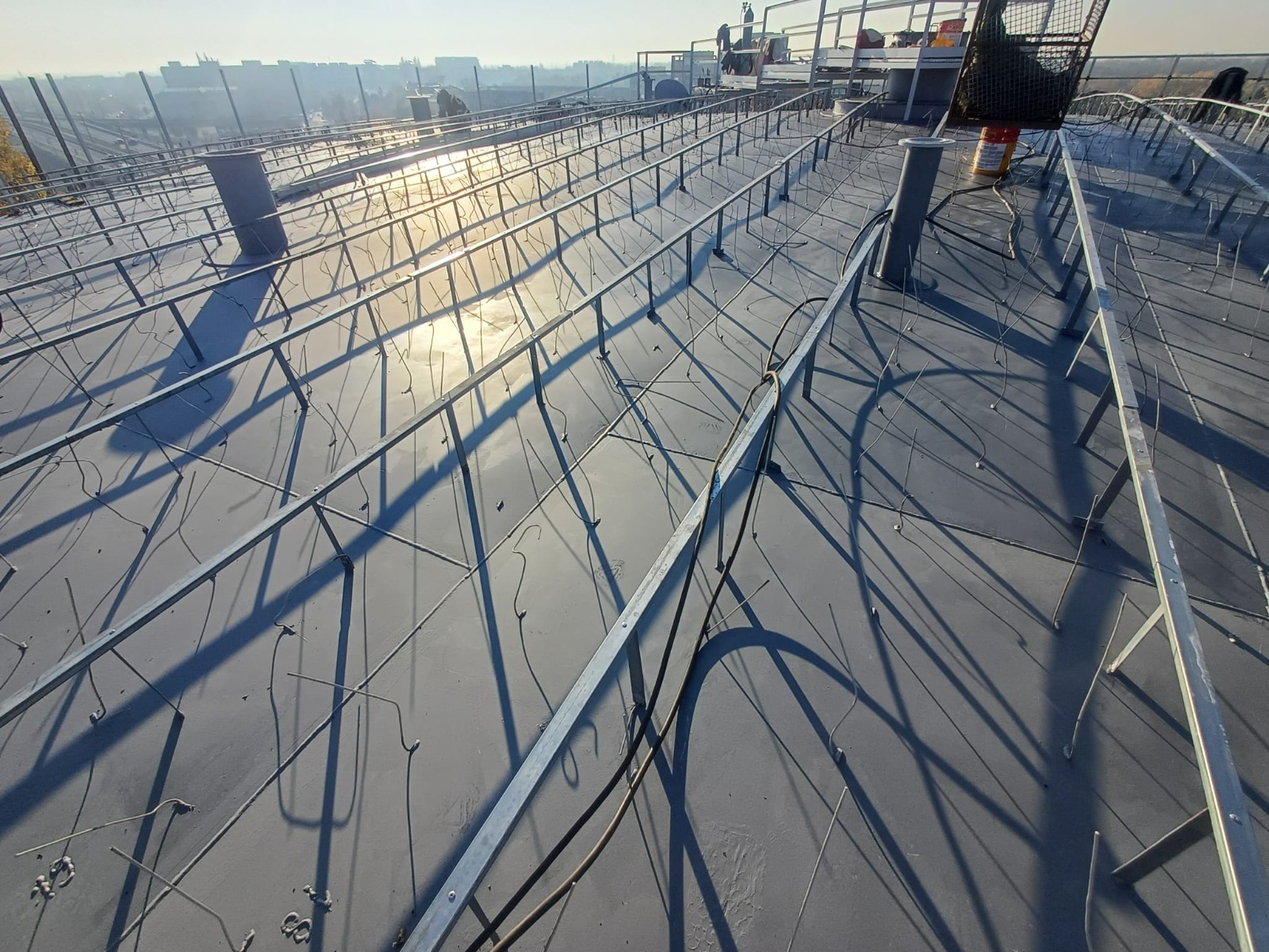 WhatsApp Image 2025-11-17 at 12.17.37 PM