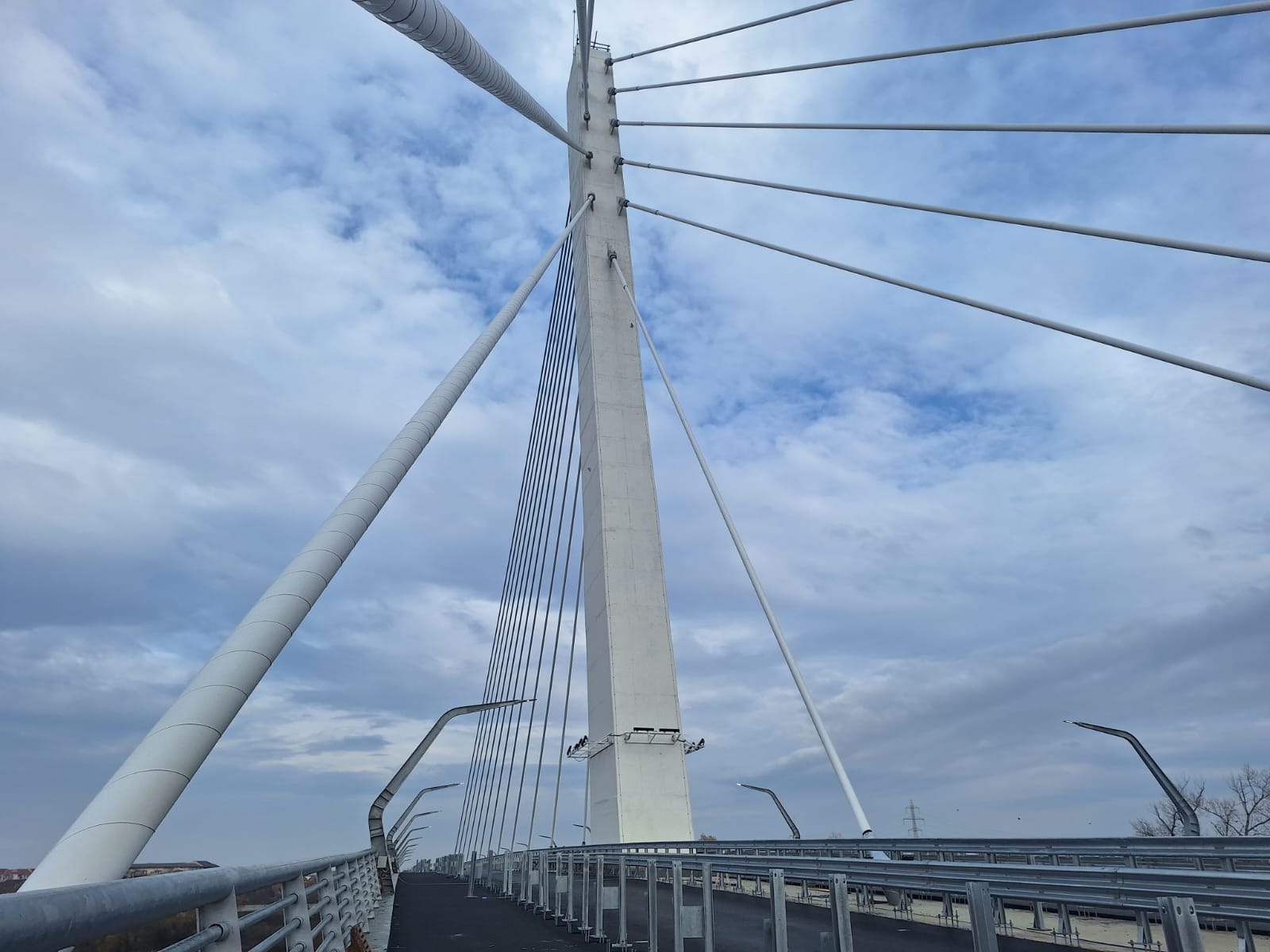 WhatsApp Image 2025-11-21 at 14.26.45 (2)