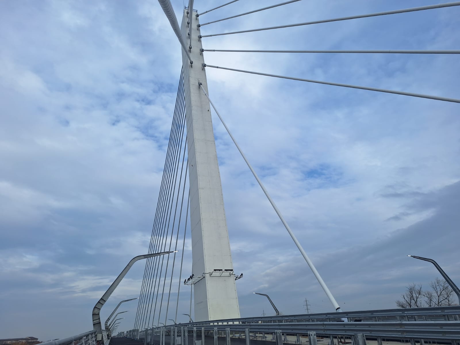 WhatsApp Image 2025-11-21 at 14.26.45 (3)