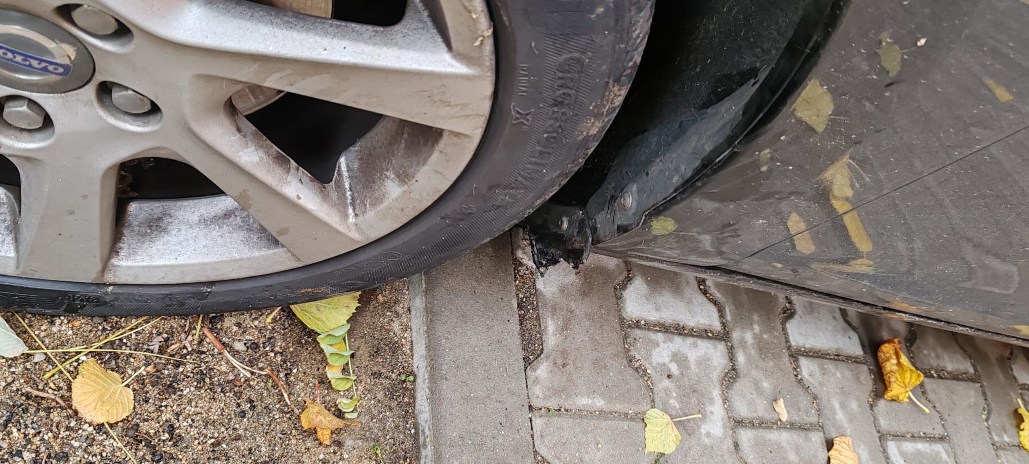 559489335_26077569241831370_5827035704880189027_n