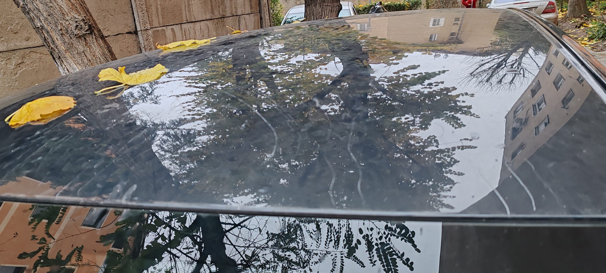 589317849_26077569078498053_1924047686387249198_n