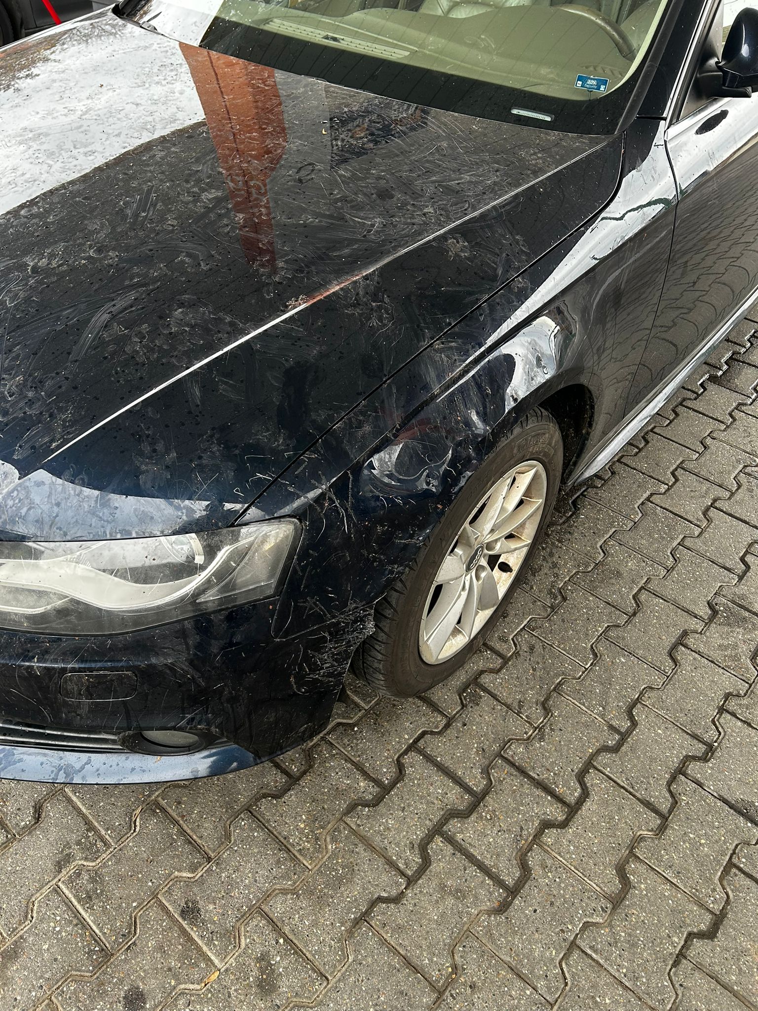 WhatsApp Image 2025-11-27 at 4.39.29 PM (1)