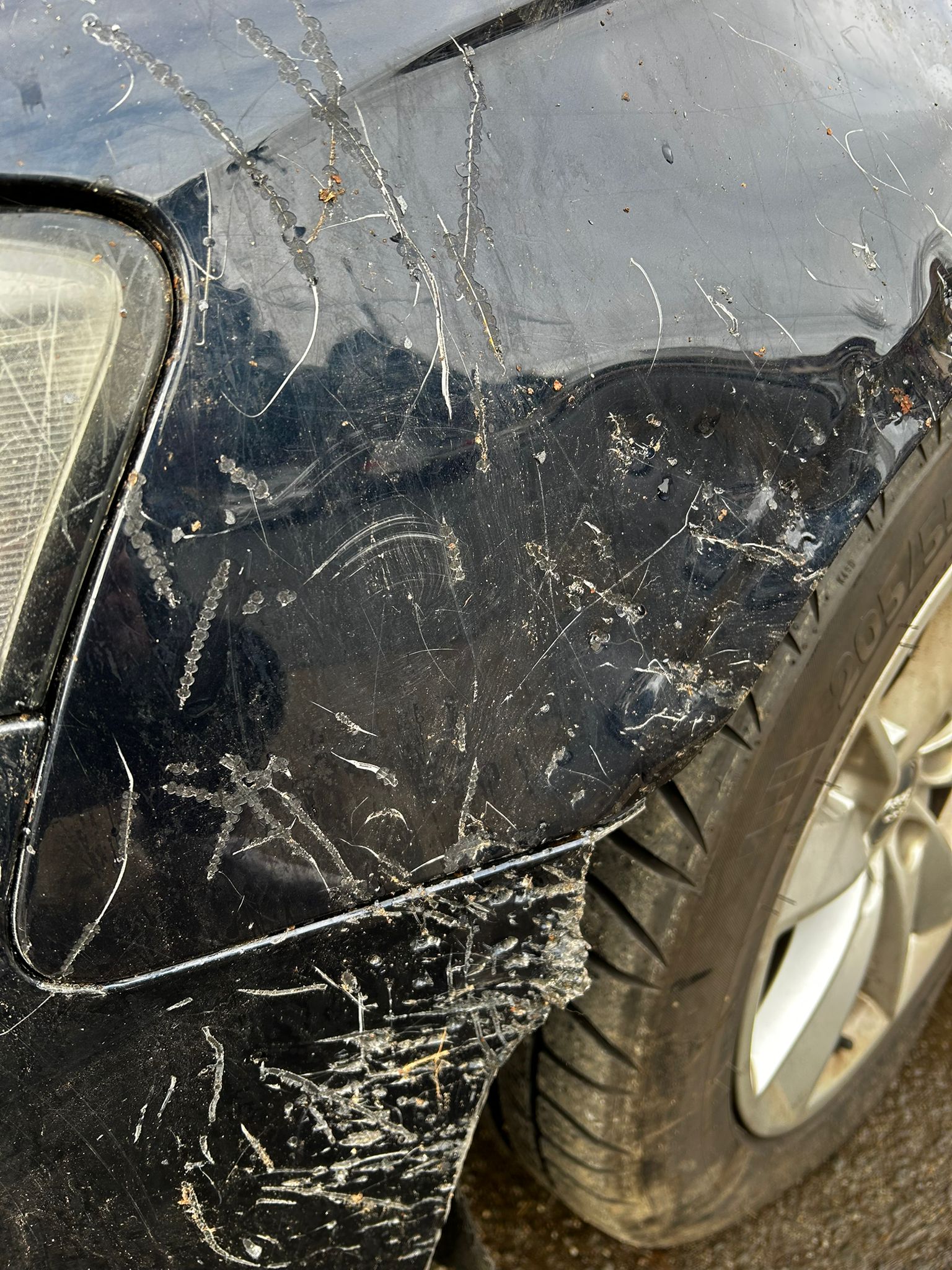 WhatsApp Image 2025-11-27 at 4.39.29 PM