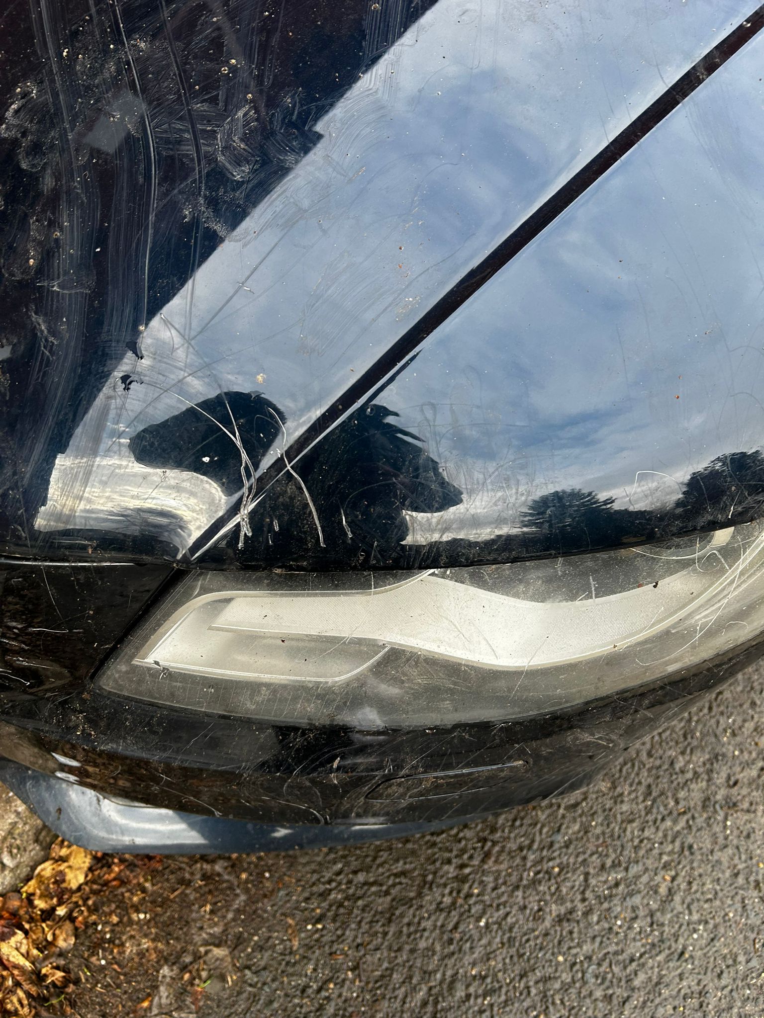 WhatsApp Image 2025-11-27 at 4.39.30 PM (3)