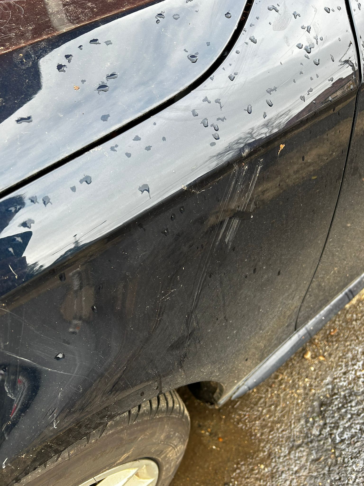 WhatsApp Image 2025-11-27 at 4.39.30 PM