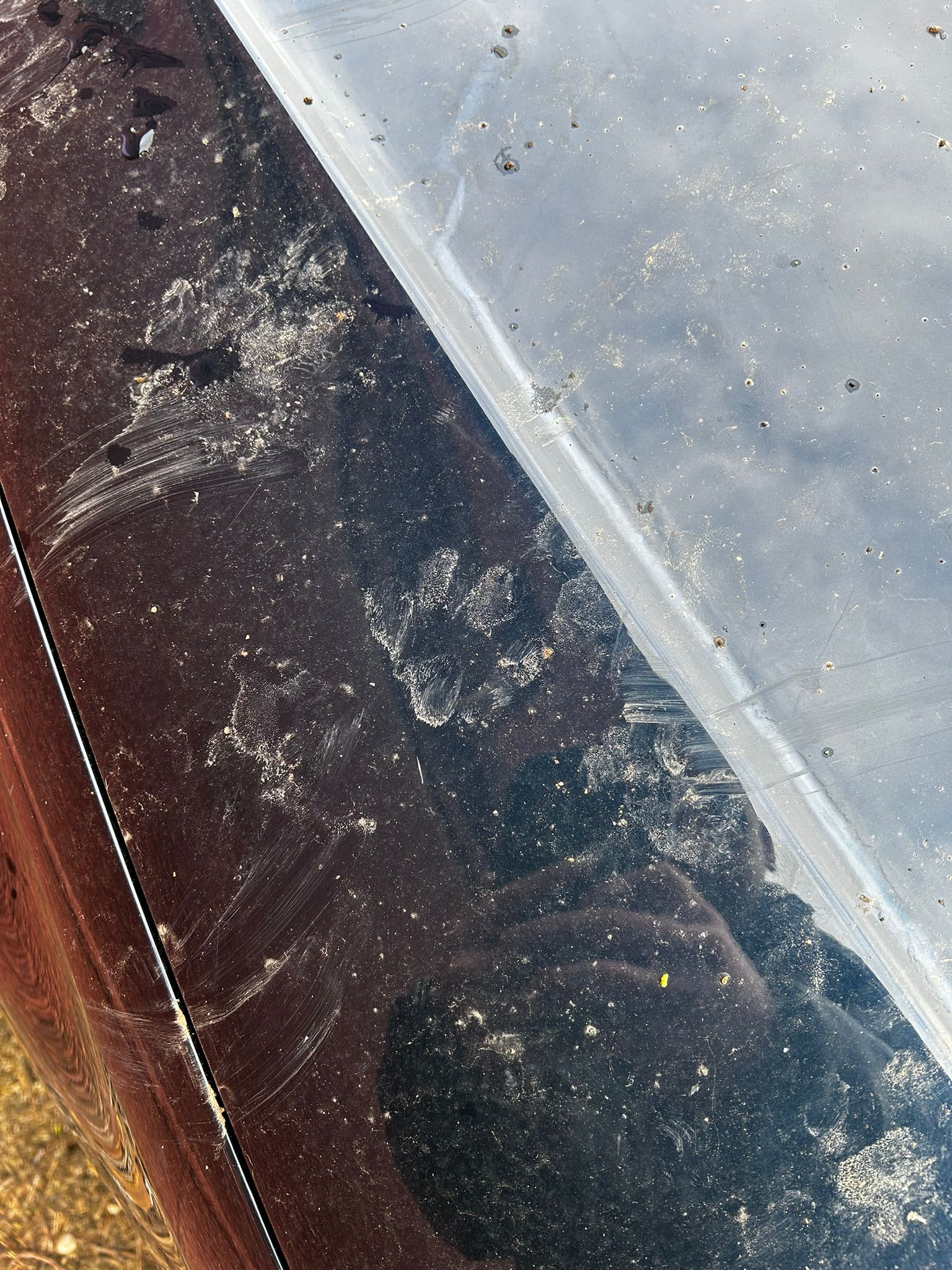 WhatsApp Image 2025-11-27 at 4.39.31 PM