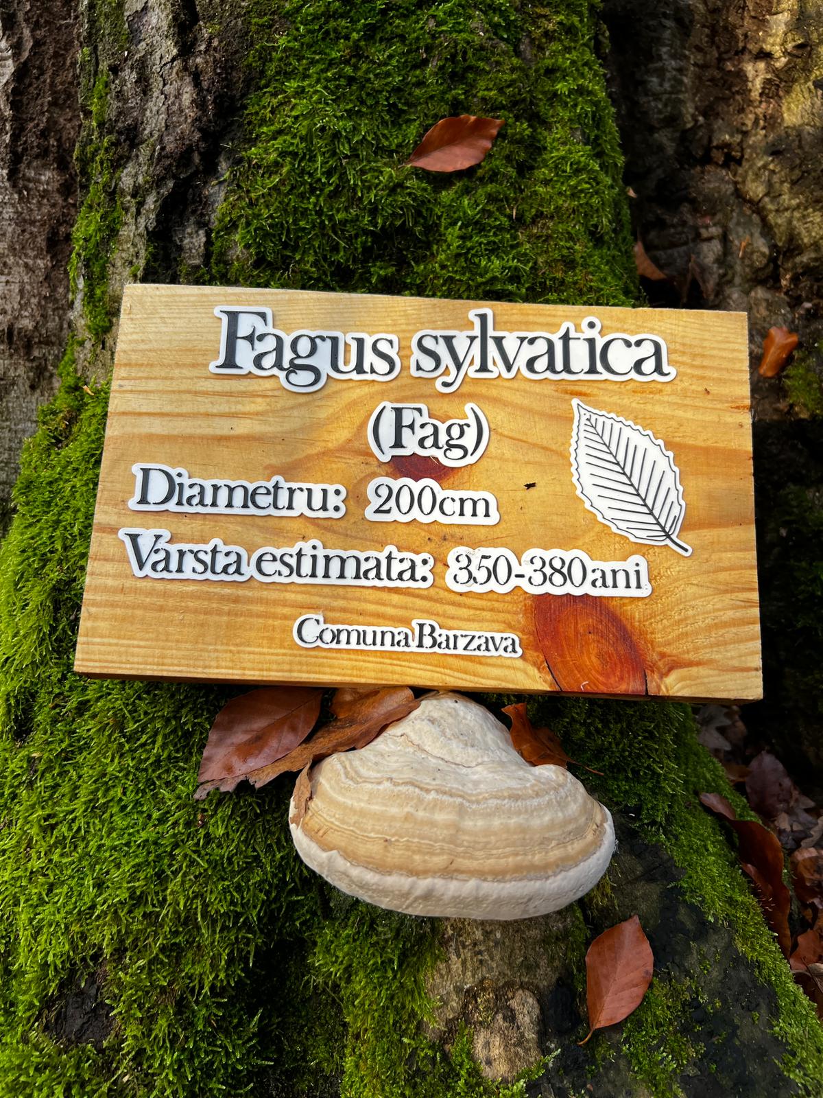 WhatsApp Image 2025-12-15 at 11.57.35 (1)