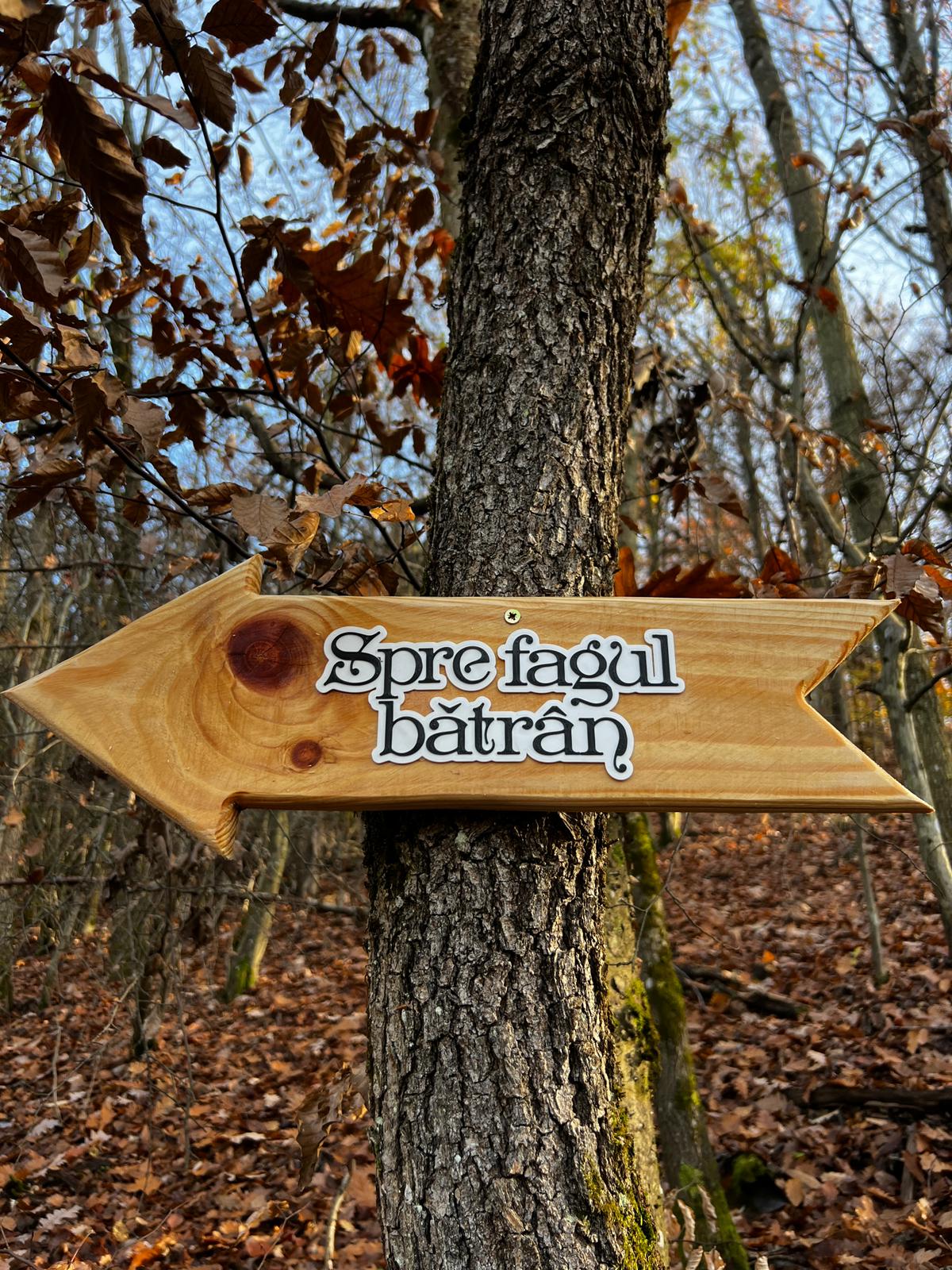 WhatsApp Image 2025-12-15 at 11.57.35 (2)