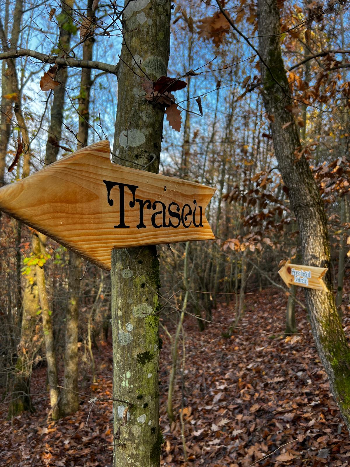 WhatsApp Image 2025-12-15 at 11.57.35 (3)