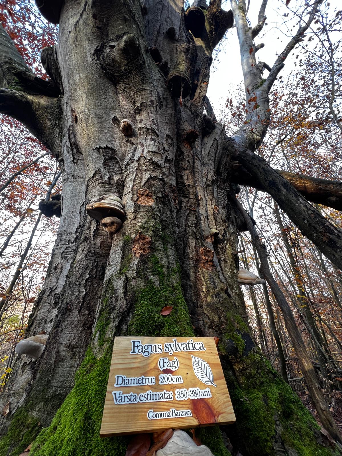 WhatsApp Image 2025-12-15 at 11.57.35