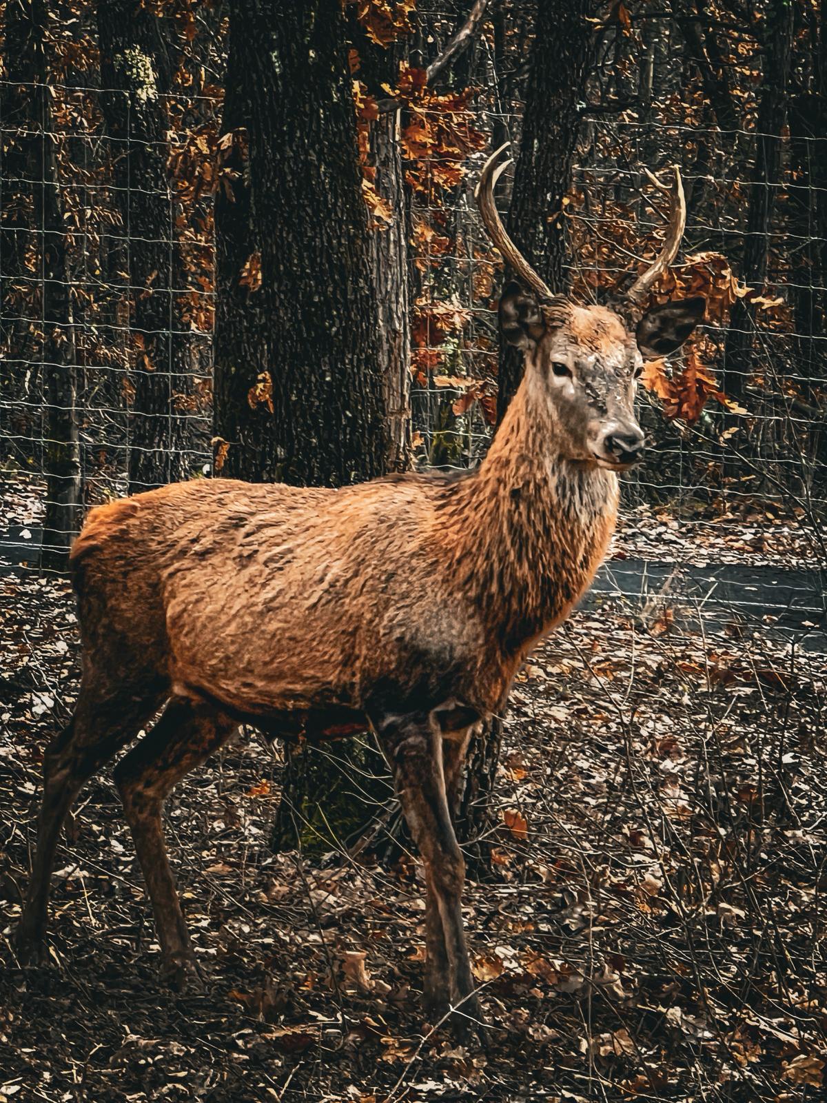 WhatsApp Image 2025-12-15 at 11.57.51 (1)