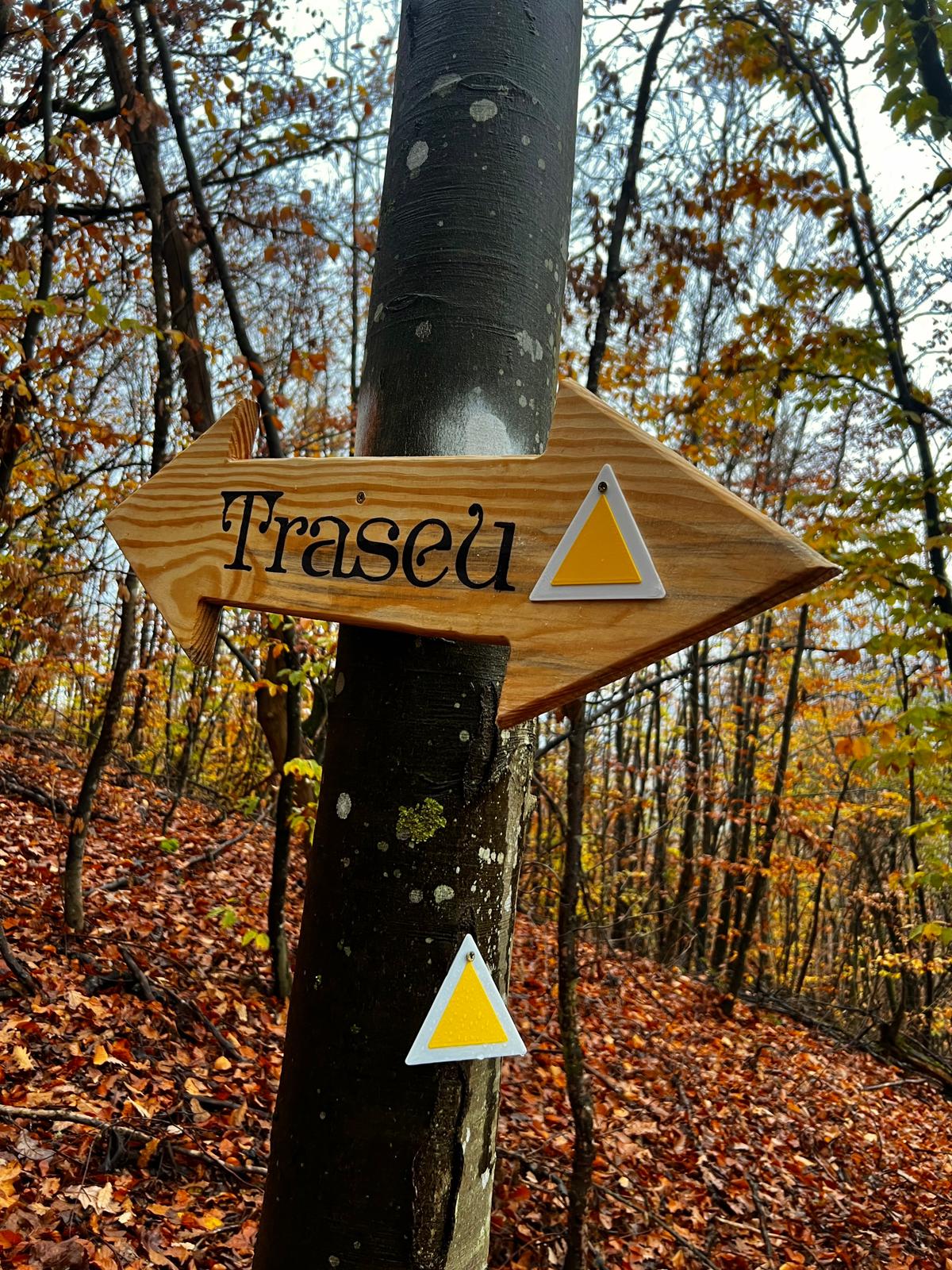 WhatsApp Image 2025-12-15 at 11.57.51