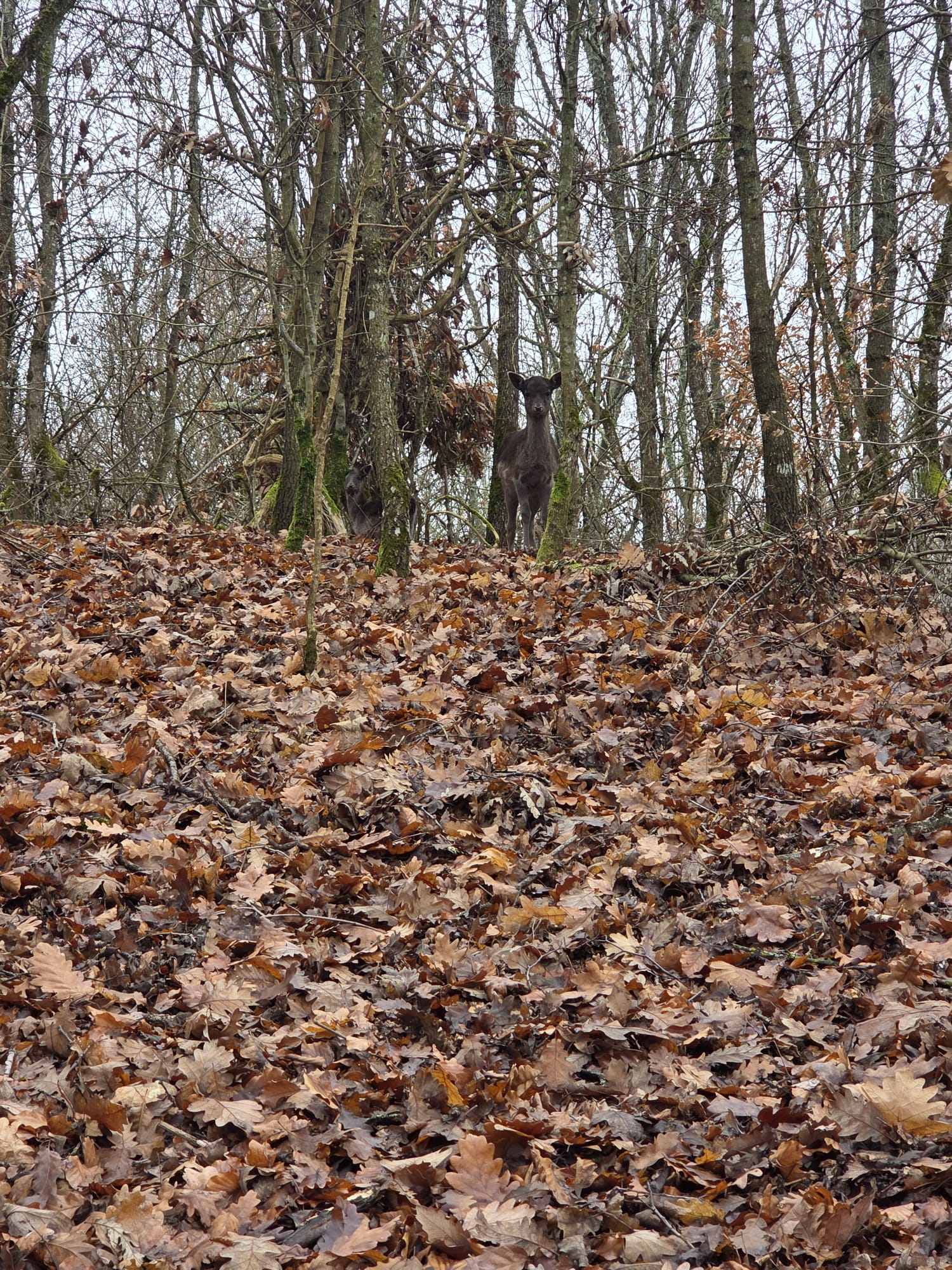 WhatsApp Image 2025-12-15 at 11.58.27 (2)