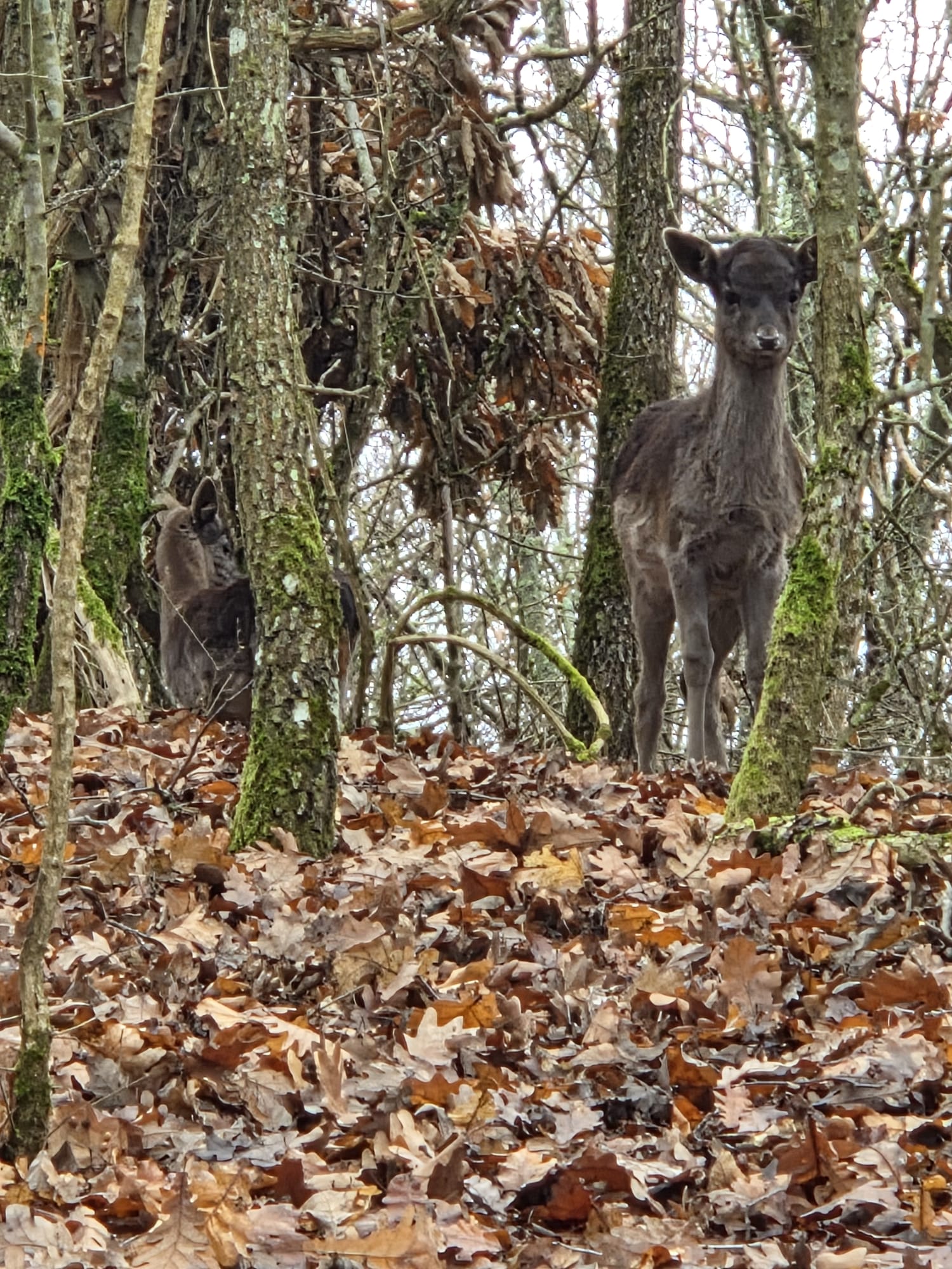 WhatsApp Image 2025-12-15 at 11.58.27