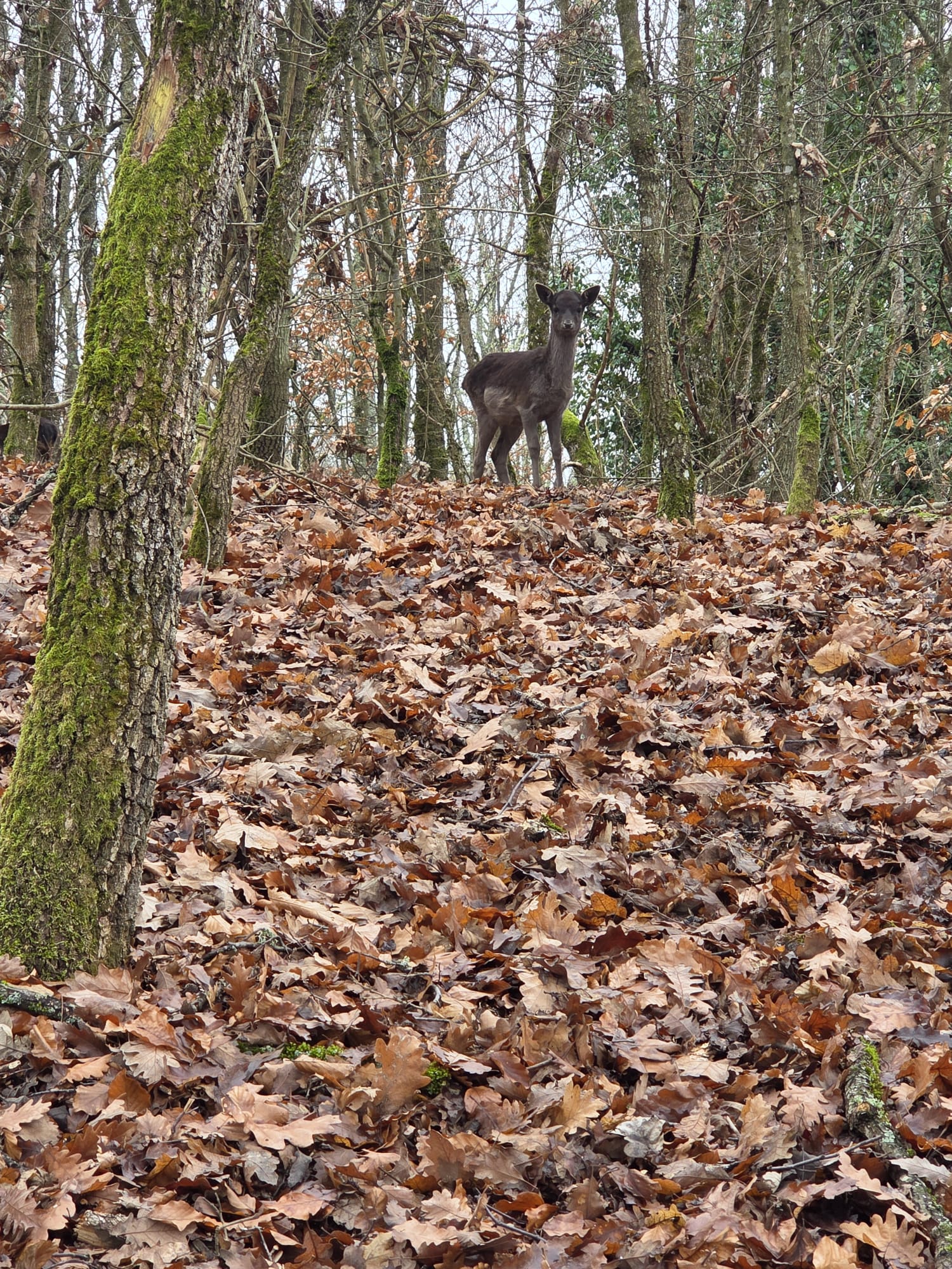 WhatsApp Image 2025-12-15 at 11.58.28