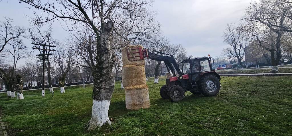 WhatsApp Image 2025-12-17 at 21.37.21 (1)