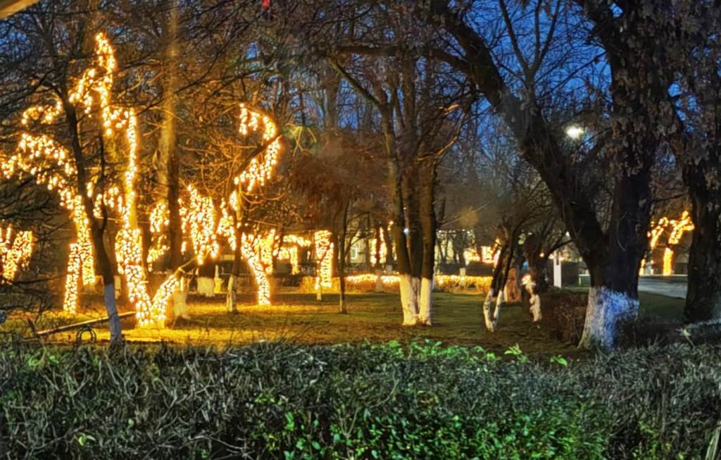 WhatsApp Image 2025-12-17 at 21.37.21 (3)